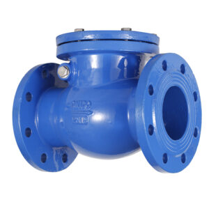 Swing Check Valve