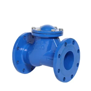 Ball Check Valve