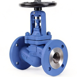 Bellow Globe Valve