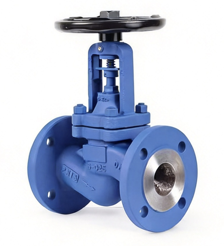Bellow Globe Valve