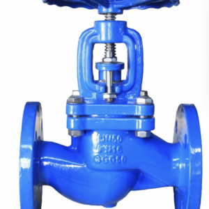 Globe Valve