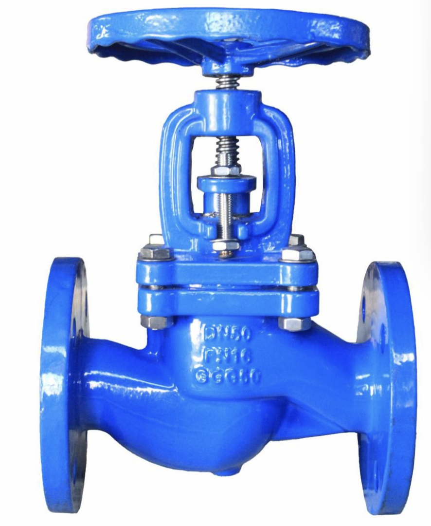 Globe Valve